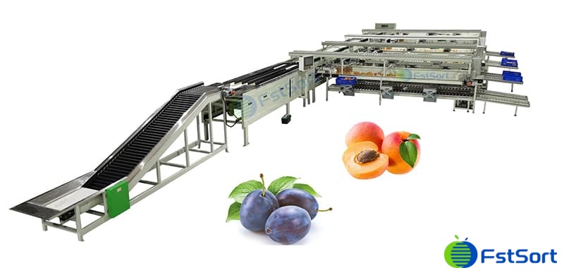 images/1656664038683Plums and apricots grading machine.jpg